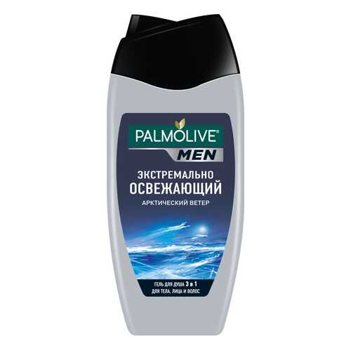 Шампунь Palmolive Арктический ветер 250 мл для мужчин в Летуаль